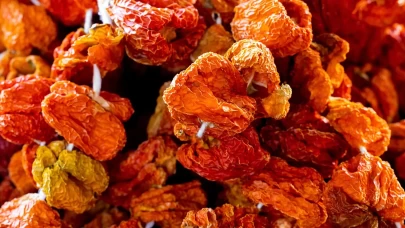 Dolmalık Biber Nasıl Kurutulur?