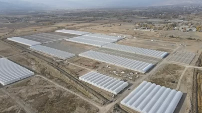 Doğu Anadolu'nun en büyük toplu sera alanı kuruluyor