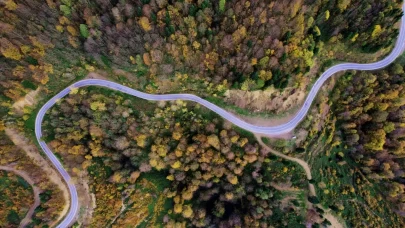 Sonbaharda Çam Dağı'nda renk cümbüşü: Doğanın görsel şöleni