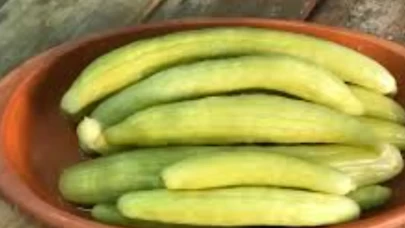 Bu yöntemle yapılan turşunun tadına bakan tarif istiyor