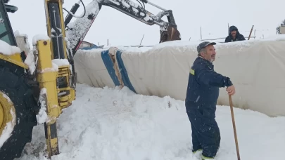 Sivas’ta kar çöken çadırın altında kalan 8 koyun öldü
