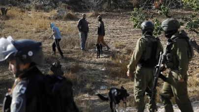 İsrail zeytin hasadını engellemek için beldeyi kapattı