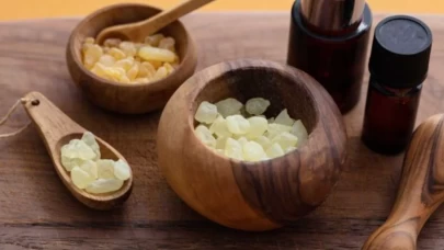 Sandaloz sakızı bağışıklığı nasıl güçlendiriyor?