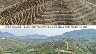 6 yıl önce dikilen fidanlar geleceğe nefes oldu