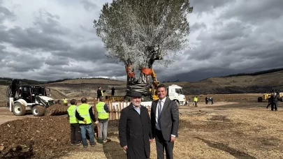 Türkiye’nin tek seferde yapılan en büyük maden rehabilitasyon projesinde zeytin fidanları toprakla buluştu