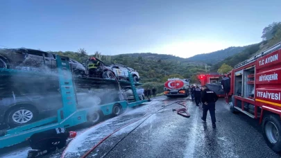 Bozdoğan’da yol kenarında panik: Araç yüklü tır yandı