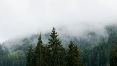 Bugün hava nasıl olacak? İşte il il hava tahmini