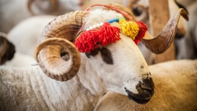 Kurban kesmek ne mesaj veriyor?