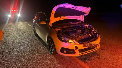 Çorum’da yola çıkan danaya çarpan otomobilde iki kişi yaralandı