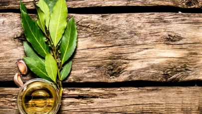 Defne yaprağı yağı mucizesi!