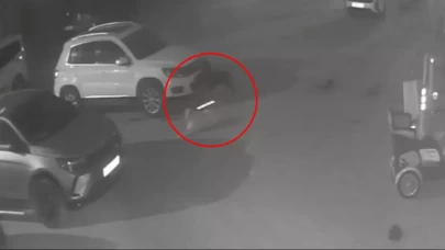 Sokak köpekleri arabasını parçaladı