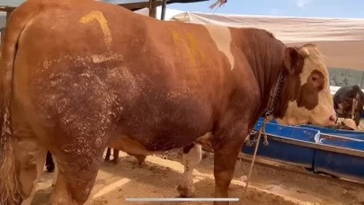 Menderes’te feci olay