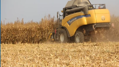 Mardin Ovası’nda bereket yılı! Mısır hasadı başladı, rekolte 2 milyon tonu bulacak