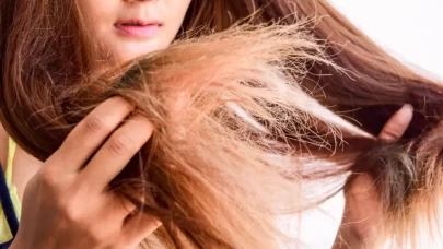 Kaktüs suyunun şaşırtan onarım gücü