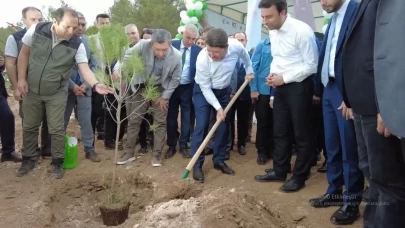 90 bin fidan toprakla buluşuyor