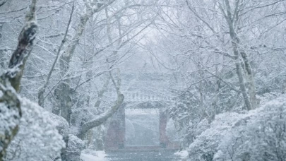 Türkiye’nin bazı yüksek kesimleri kar beyaza büründü