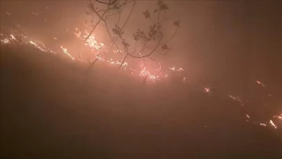 Hatay'da çıkan orman yangını kontrol altına alındı