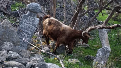 Komşuda ''Osmanlı'' hazımsızlığı!