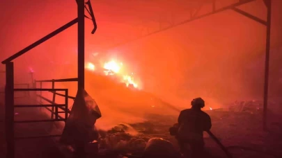 Hatay’da korkunç yangın: 100 büyükbaş tahliye edildi!