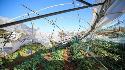 Üreticilere 4,2 milyar lira tarım sigortası tazminatı ödendi