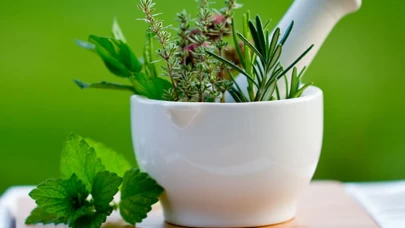 Bitkilerde sinerji etkisi gündemde