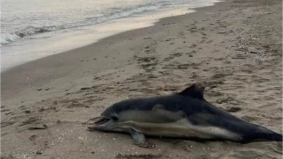 Yıldırım'da yürüyüş felaketi: Mahsur kalan gençten acı haber!