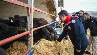 Kırsalda hayvan teslimatı başladı