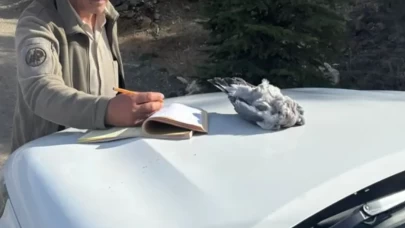 Burdur'da kaçak avcılık yapan 4 kişiye idari ceza uygulandı