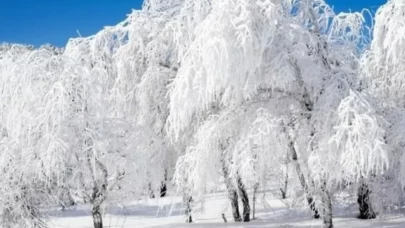 En sert soğuklar için kritik tarihler