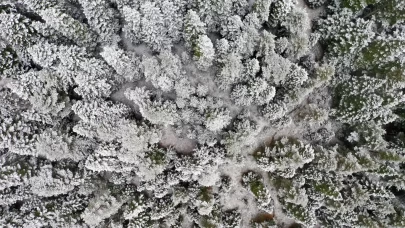 Ilgaz Dağı'ndaki kar ve sis havadan görüntülendi