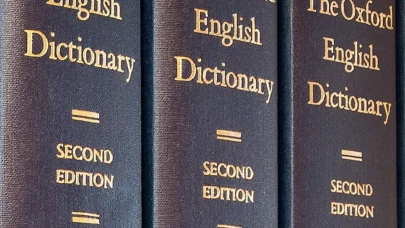 Oxford Sözlüğü 2025 yılının kelimesini seçti: Öfke yemi