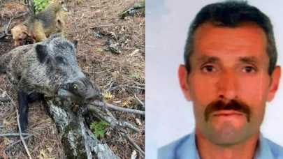 Erzincan'da domuz saldırısı sonucu hayatını kaybetti