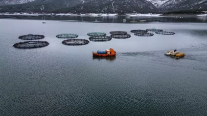 Denizi olmayan Tokat’ın somonları dünyaya açılıyor