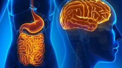 Bağırsakların yaşı sağlığı nasıl etkiliyor?