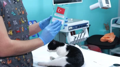 Evcil hayvanlara çip taktırmak için son gün 31 Aralık