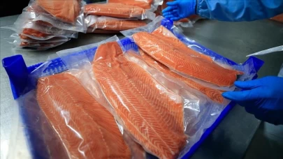 Doğu Karadeniz'in Türk somonu ihracatı 164 milyon doları aştı