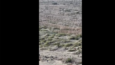 Bakanlık düğmeye bastı: Ağyatan Lagünü çevresi baştan aşağı yeşilleniyor