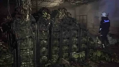 Alanya'da korkunç olay! Tonlarca muz kül oldu