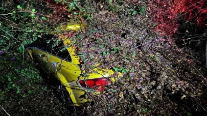 Seyir halindeki otomobilin üzerine ağaç devrildi!