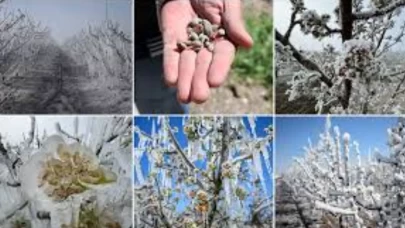 Sinop Valiliği’nden kar ve zirai don uyarısı