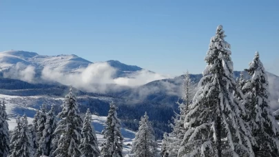 Ordu'nun Çambaşı Yaylası beyaza büründü