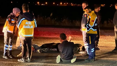 Diyarbakır’da yolun karşısına geçmek isteyen yaya hayatını kaybetti