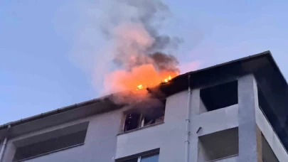 Edirne’de yangın!