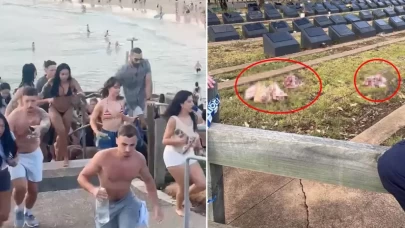 Sydney’de Müslüman mezarlığına ırkçı saldırı