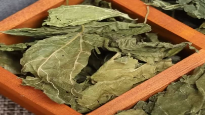 Dut yaprağı boğazı nasıl rahatlatıyor?