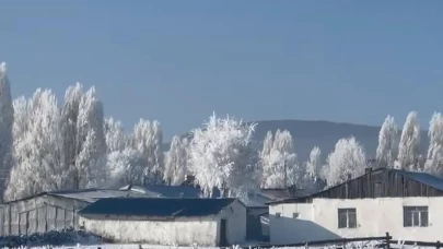 Ardahan'ın Göle ilçesi, eksi 20'yi gördü; ağaçlar kırağı tuttu