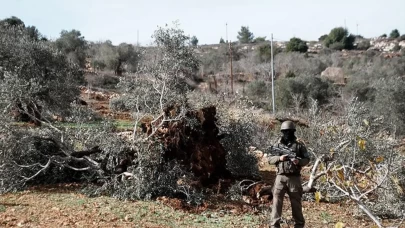 İsrail saldırıları Batı Şeria’da tarımı vurdu