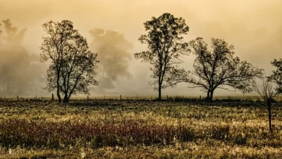 Türkiye genelinde hava değişiyor! Sıcaklıklar hızla düşecek, bazı bölgelerde kuvvetli yağış alarmı