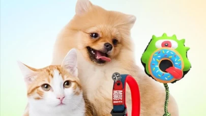 Kasımda zam şampiyonu belli oldu: Evcil hayvan ürünleri cep yakıyor!