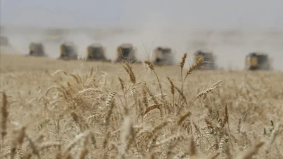 Güneydoğu’dan hububat atağı! 11 ayda 3,2 milyar dolarlık ihracat